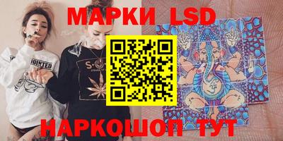 кокс Кингисепп