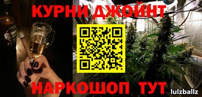 кокс Кингисепп