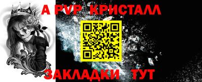 кокс Кингисепп