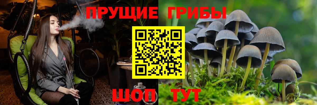 Псилоцибиновые грибы Cubensis  Галлюциногенные грибы GOLDEN TEACHER  Вход с VPN  Нефтекамск 